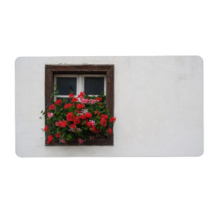 Rote und rosa Pelargonie