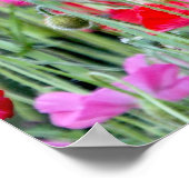 Rote und rosa Poppies Poster (Ecke)