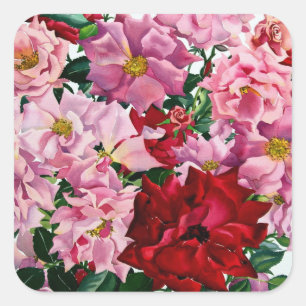 Rote und rosa Rosen 2008 Quadratischer Aufkleber