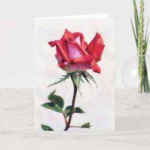 Rote und rosa Rosenblumen-Kunst-Notizkarte Karte