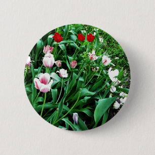Rote und rosa Tulips Bilder Button