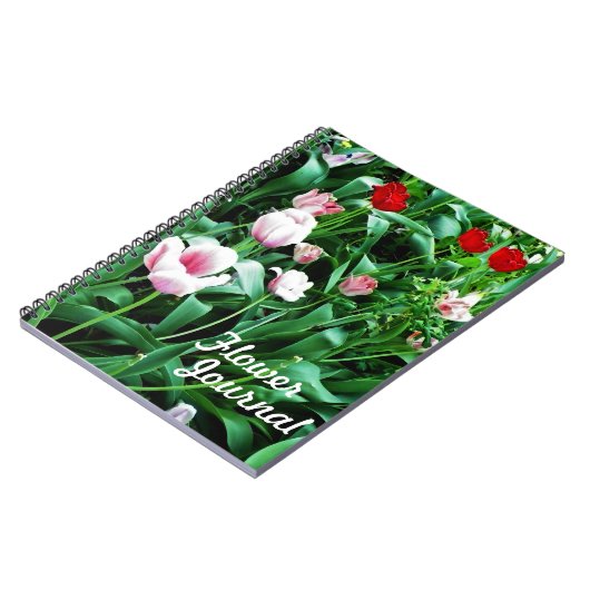 Rote und rosa Tulips Bilder Notizblock (Linke Seite)