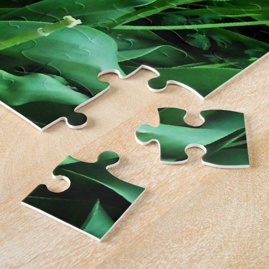 Rote und rosa Tulips Bilder Puzzle (Seite)