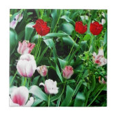 Rote und rosa Tulips Bilder Spoon Erholung Fliese (Vorderseite)