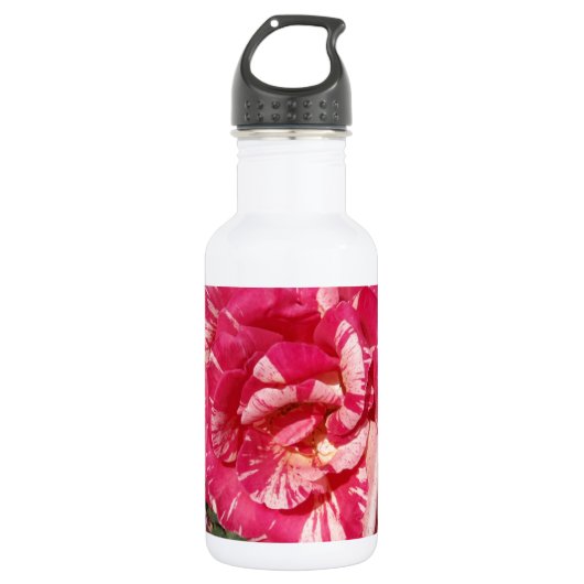 Rote und SahneRose Trinkflasche (Vorderseite)