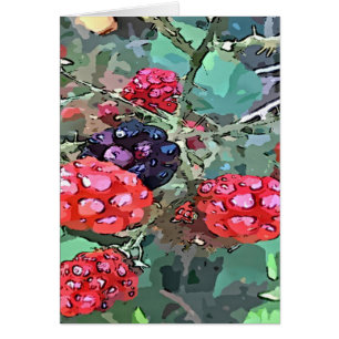 Rote und schwarze Himbeeren
