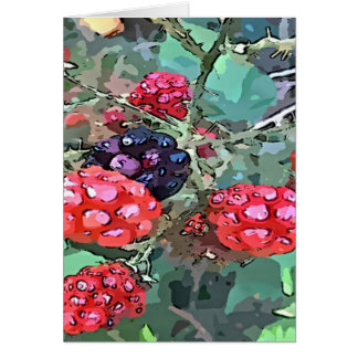 Rote und schwarze Himbeeren
