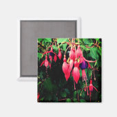 Rote und violette Blumen Magnet (Vorderseite/Rückseite)