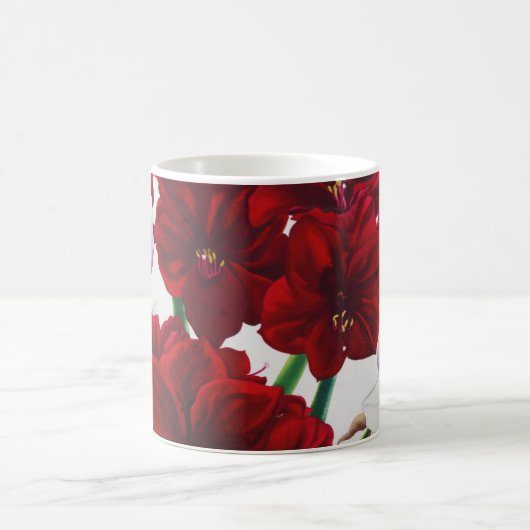 Rote und weiße Amaryllis 2008 Kaffeetasse (Mittel)