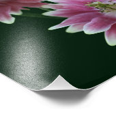 Rote und weiße Blume 8 x 10 Fotodruck (Ecke)