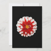 Rote und weiße Blumenruhestands-Party Einladung (Rückseite)