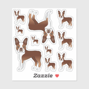 Rote und weiße Boston Terrier Hund Illustrationen Aufkleber