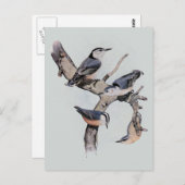 Rote und weiße Brustkerne Postkarte (Vorne/Hinten)