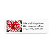 Rote und weiße Dahlia Rücksendeadresse (Vorne)