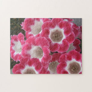 Rote und weiße Gloxinia-Blume. Puzzle