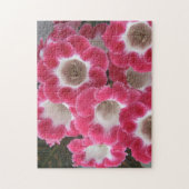 Rote und weiße Gloxinia-Blume. Puzzle (Vertikal)