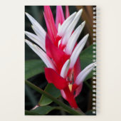 Rote und weiße Heliconia Floral Notizblock (Rückseite)