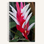 Rote und weiße Heliconia Floral Notizblock (Vorderseite)