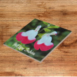 Rote und weiße Hot Lives Salvia Fliese<br><div class="desc">Keramik Kachel,  die ein Foto der kleinen,  rot-weißen Blume von Hot Lips Salvia,  auch bekannt als Littleleaf Sage. Ein schönes,  blumengeschmücktes Design! Wählen Sie Ihre Kachelgröße aus. Eine tolle Küche trivet!</div>