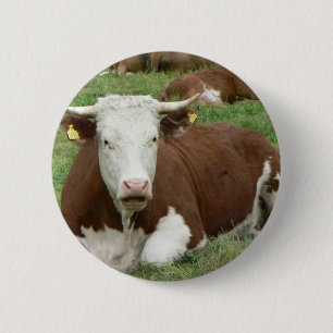 Rote und weiße Kuh auf grünem Gras Button