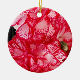 Rote und weiße Nelken RUNDE ORNAMENT