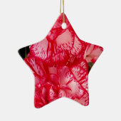 Rote und weiße Nelken STAR ORNAMENT (Rechts)
