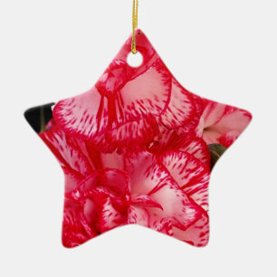 Rote und weiße Nelken STAR ORNAMENT