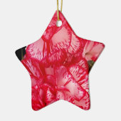 Rote und weiße Nelken STAR ORNAMENT (Links)