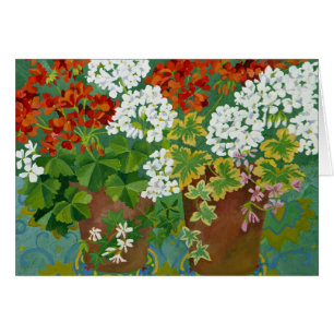 Rote und weiße Pelargonien in Töpfen 2013