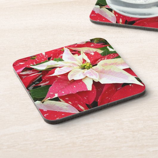 Rote und weiße Poinsettia Holiday Beverage Coaster Getränkeuntersetzer (Linke Seite)
