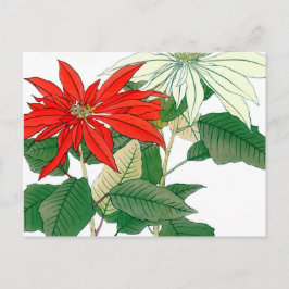 Rote und weiße Poinsettia Postkarte