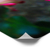 Rote und weiße Rose Poster (Ecke)