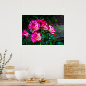 Rote und weiße Rose Poster (Küche)