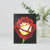 Rote und weiße Rose Postkarte (Stehend Vorderseite)