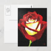Rote und weiße Rose Postkarte (Vorne/Hinten)
