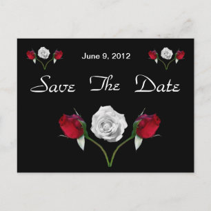 Rote und weiße Rose Save the Date Postkarte