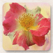 Rote und weiße Rose Untersetzer (Vorderseite)
