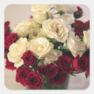 Rote und weiße Rosen Quadratischer Aufkleber