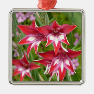 Rote und weiße Schwertlilien Sommerblumen Silbernes Ornament