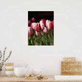 Rote und weiße sowie rosa Tulpen Poster (Küche)