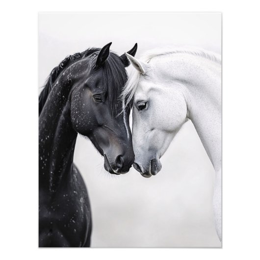 Rote und weiße Stallion Kunst Fotodruck (Vorne)
