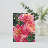 Rote und weiße Streifen Rose bearbeitbare Postkart Postkarte (Stehend Vorderseite)