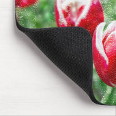 Rote und weiße Tulpen mit Regentropfen Mousepad (Ecke)