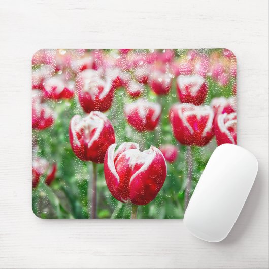 Rote und weiße Tulpen mit Regentropfen Mousepad (Mit Mouse)