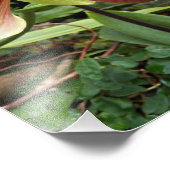 Rote Venus Slipper Orchid Floral Fotodruck (Ecke)