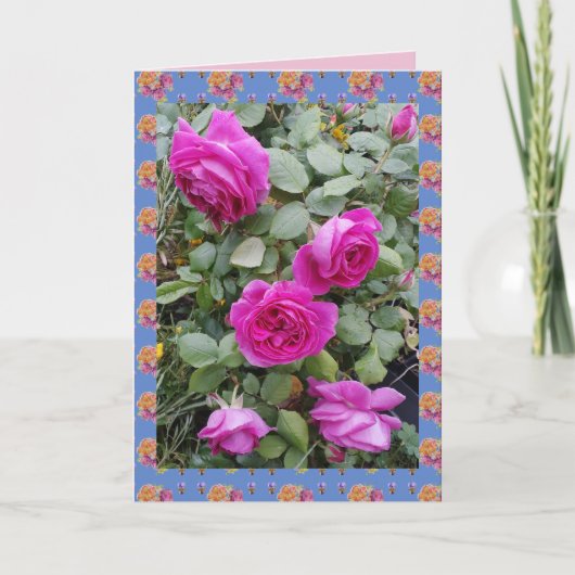 Rote Vintage Rose Rose Garten Blume Karte (Vorderseite)