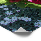 Rote Vintage Rose Rose Naturgarten Poster (Ecke)