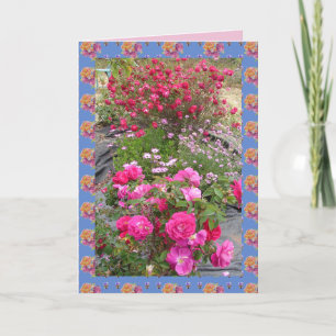 Rote Vintage-Rosen Rosengarten Blumen Karte