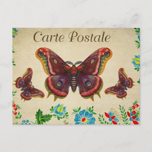 Rote Vintage Schmetterlinge Postkarte (Vorderseite)