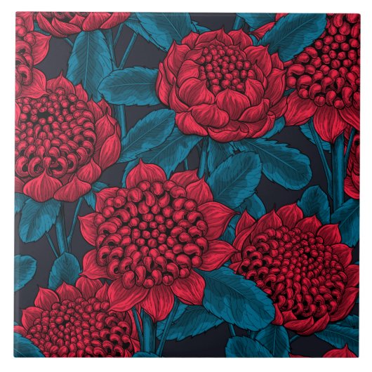 Rote Waratah-Blumen Fliese (Vorderseite)